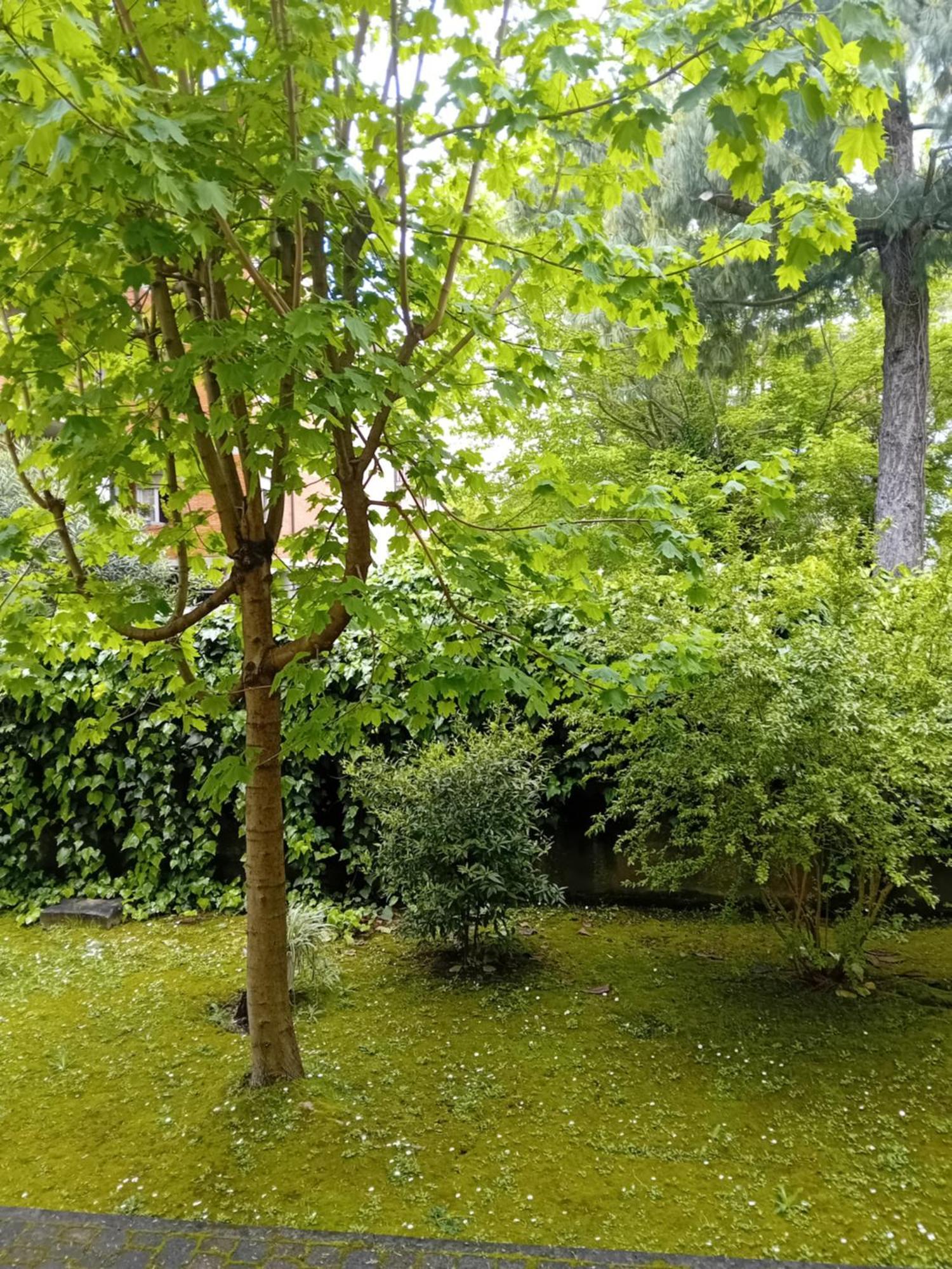 Casa Vacanze Lida Marina Di Carrara Buitenkant foto